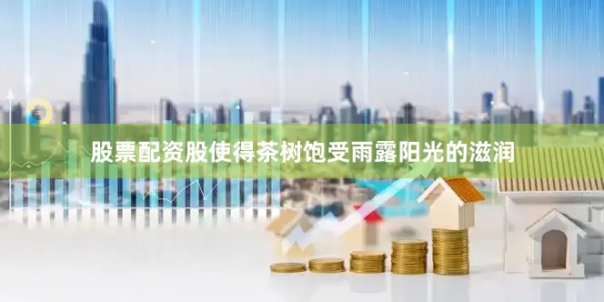 股票配资股使得茶树饱受雨露阳光的滋润