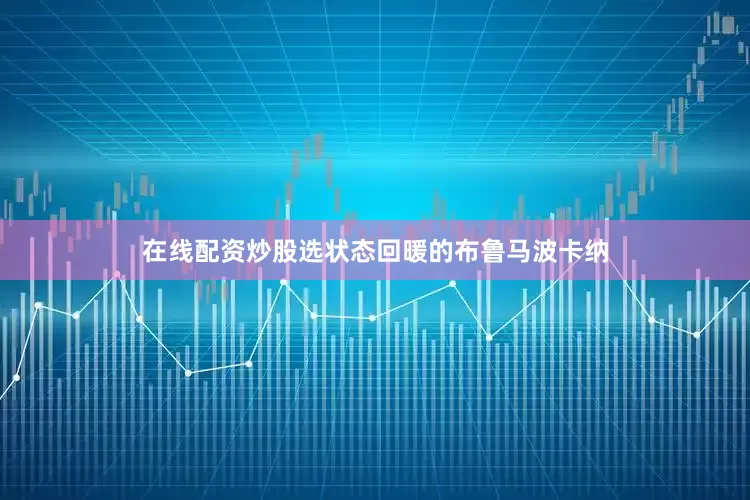 在线配资炒股选状态回暖的布鲁马波卡纳